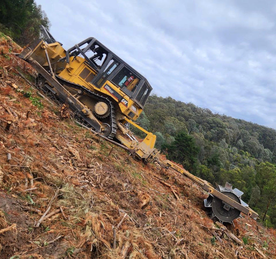 about latrobe forestry